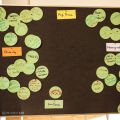 FE_16_L2_082.jpg